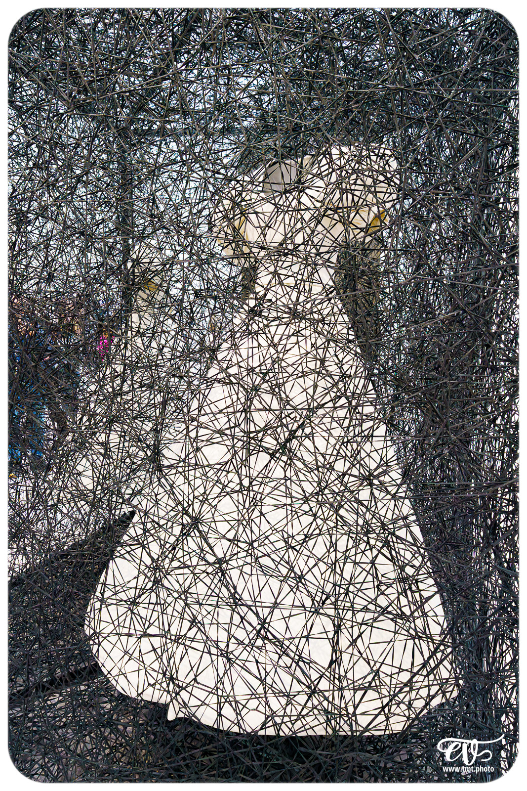 TMTPHOTO CHIHARU SHIOTA 019